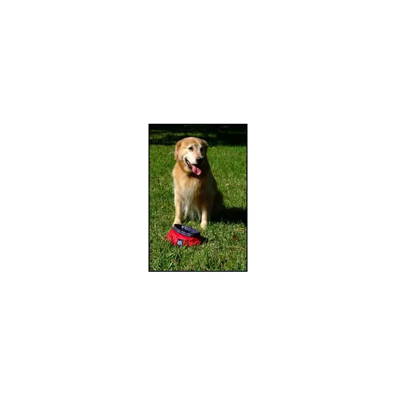 Abo Man's Best Friend-3