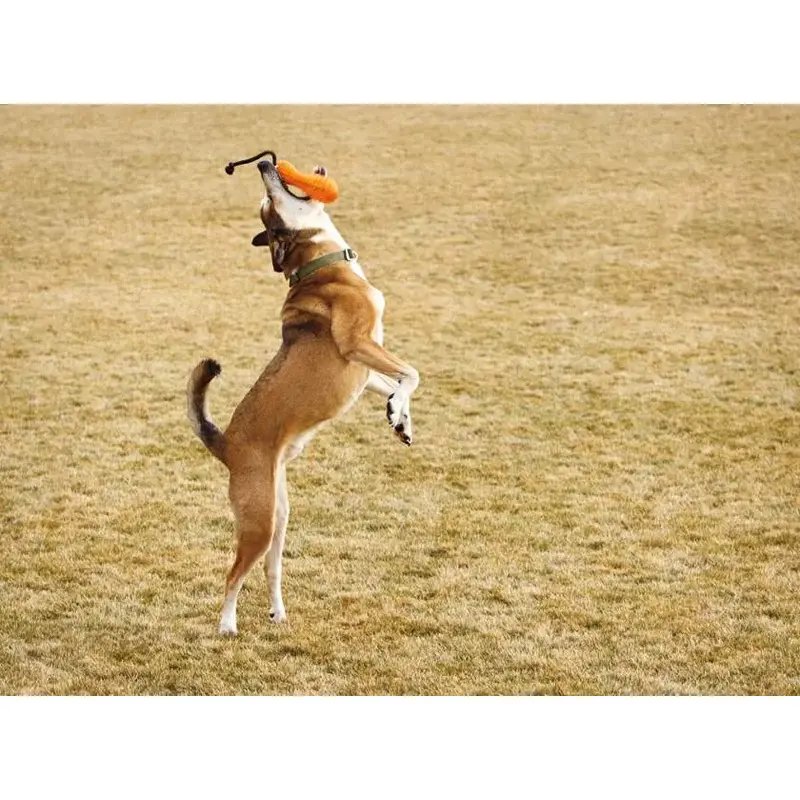 Ruffwear Gourdo Toy-2