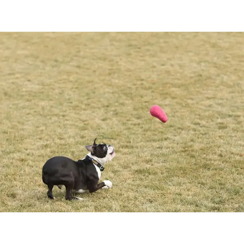 Ruffwear Sqwash Toy-3