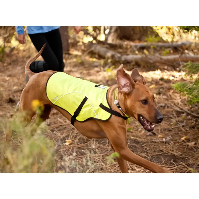 Ruffwear Track Safety Jacket-5