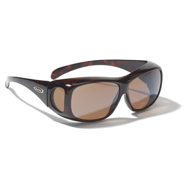 Alpina Overview Sunglasses-4