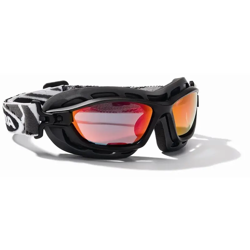 Alpina Offlimit Sunglasses-3