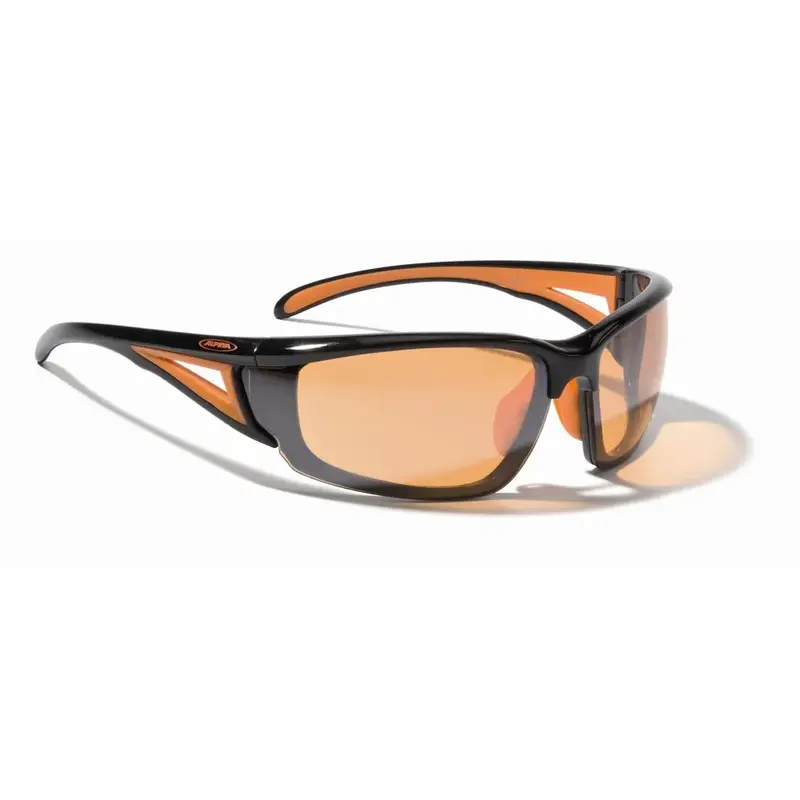 Alpina Azid Sunglasses-3