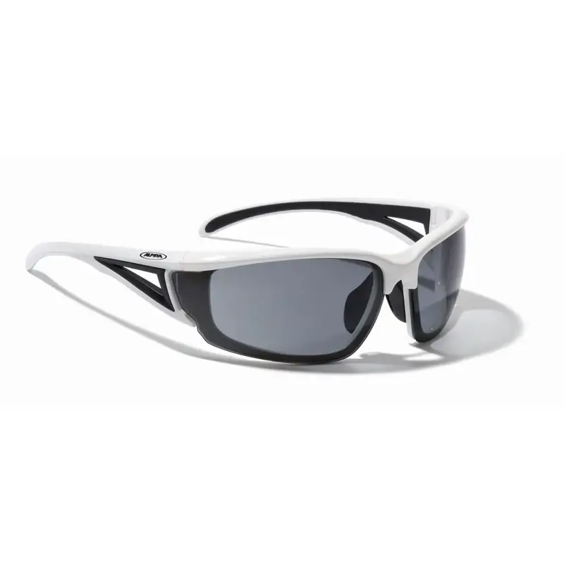 Alpina Azid Sunglasses-4