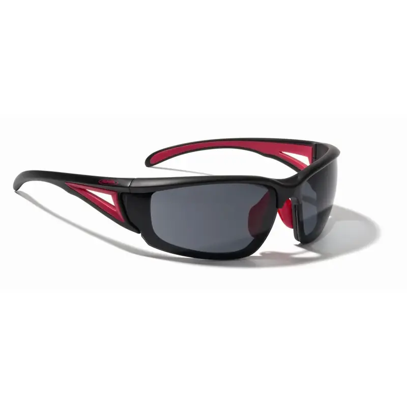 Alpina Azid Sunglasses-5