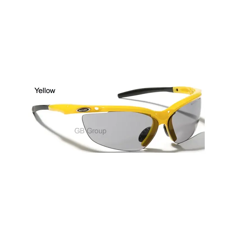 Alpina Guard 20 VarioFlex Sport Sunglasses-3