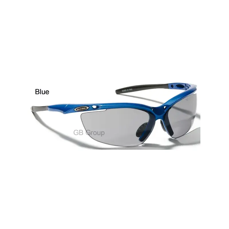 Alpina Guard 20 VarioFlex Sport Sunglasses-5