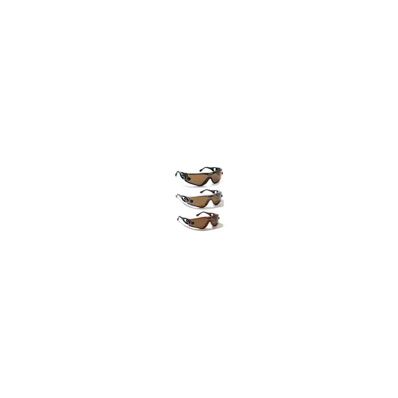 Alpina Swing 30 DL Sport Sunglasses-4