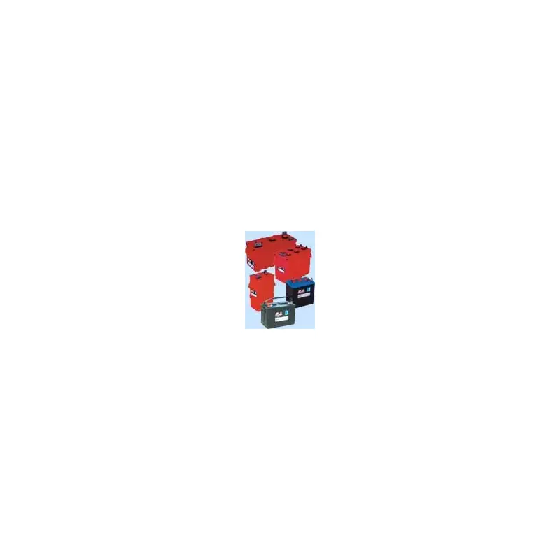 Rolls Marine Batteries-2
