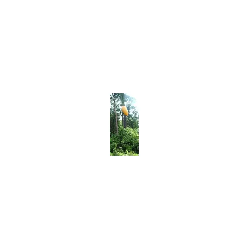 Location Marker Balloon-2
