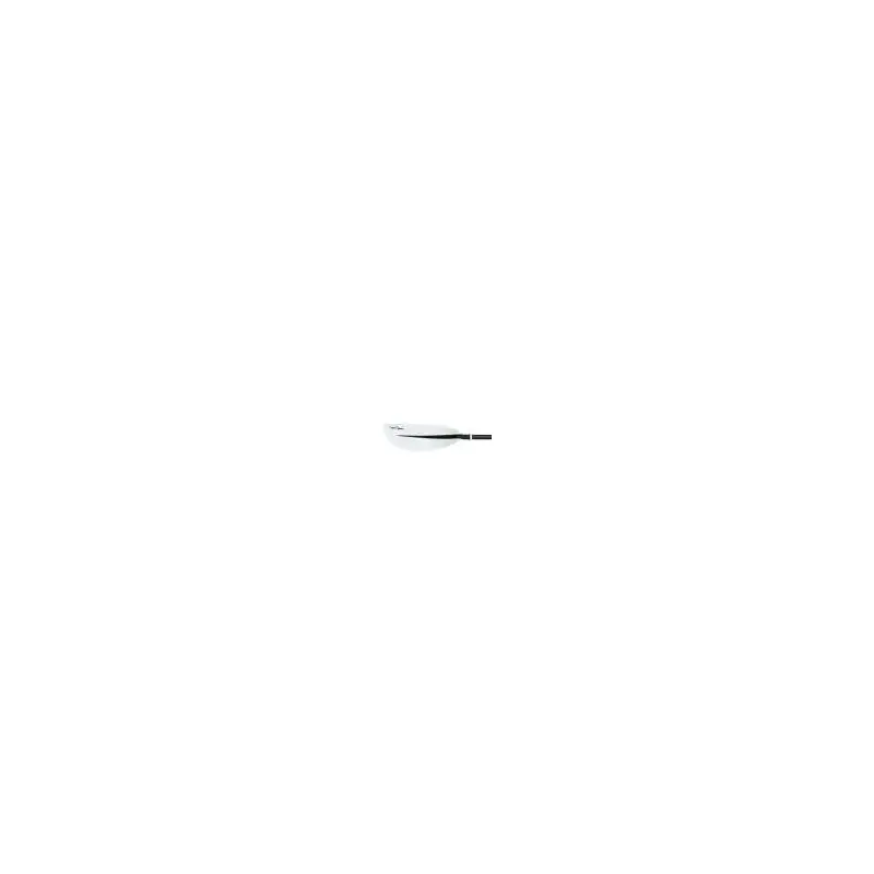 Bic Sport Kayak Paddle-2