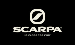 Scarpa