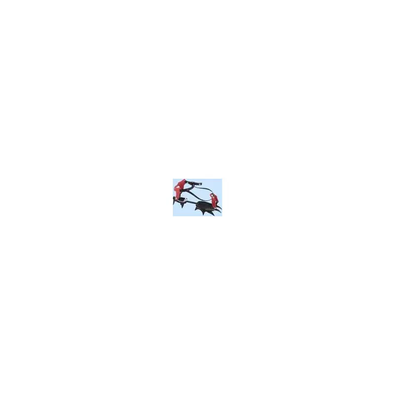 C.A.M.P. Classic Ice Rider 12 Point Crampon-2