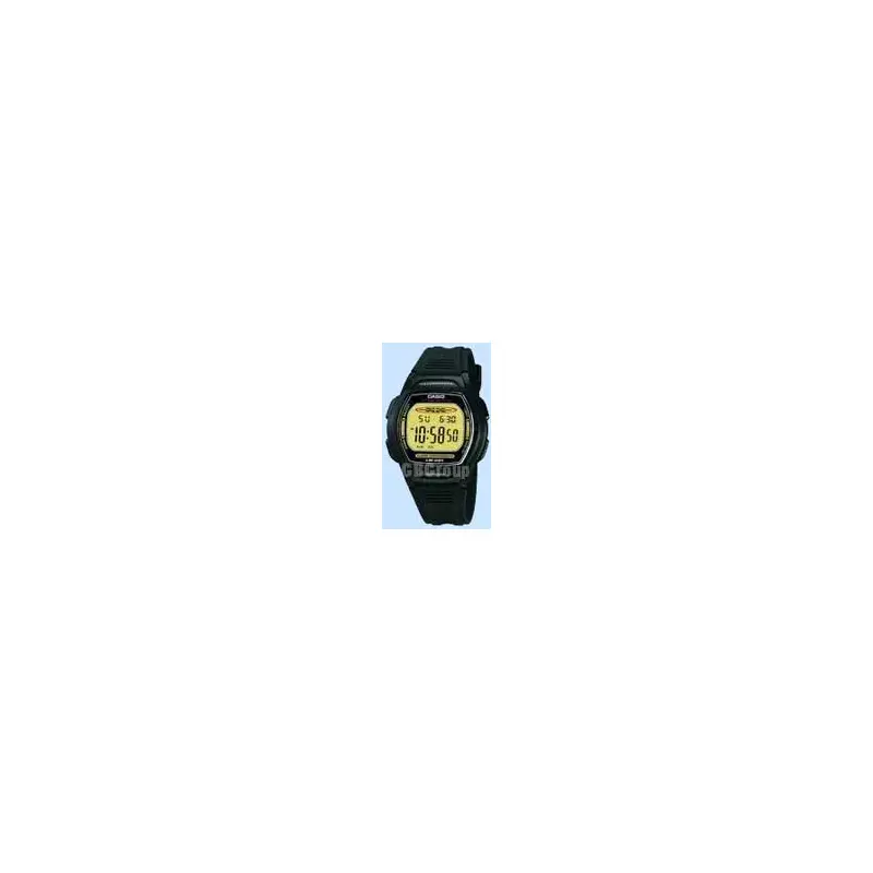 Casio Ladies' 10-Year Battery Timer Watch Lw-201g-9avef-2