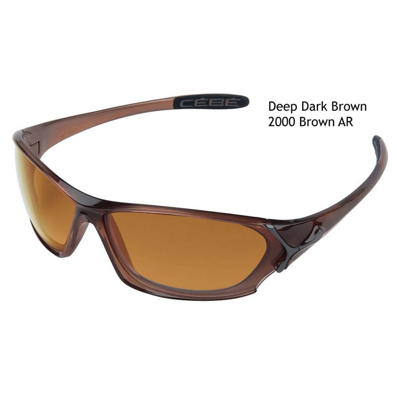 Cebe B-Fly 2000 Brown AR Big Frame Sunglasses-1
