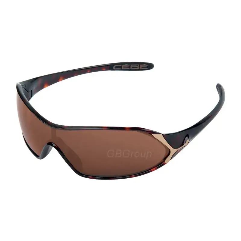 Shiny tortoise/Cebe 2000-5