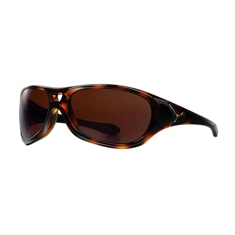 Shiny tortoise/Cebe 2000-5