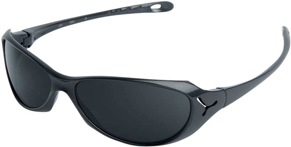 Cebe koala sunglasses on sale
