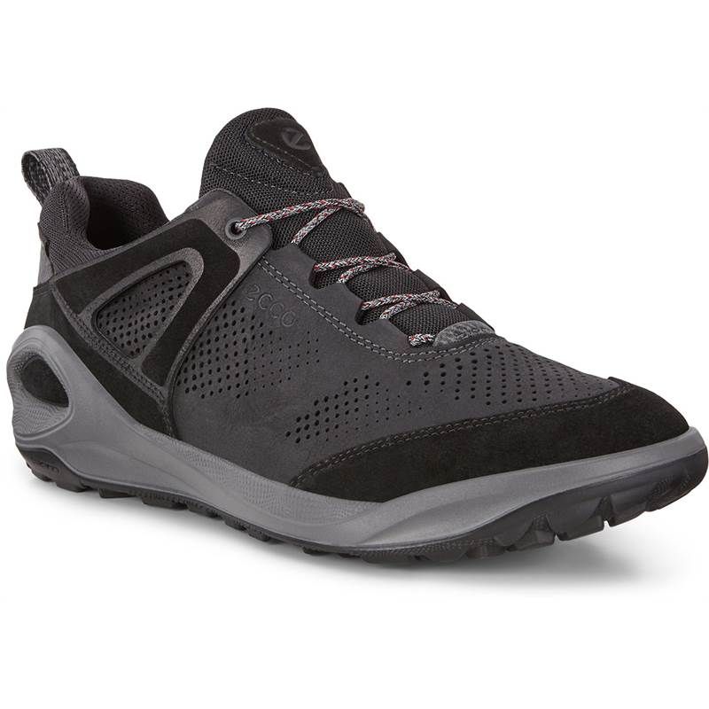 ecco men's biom 2go sneaker