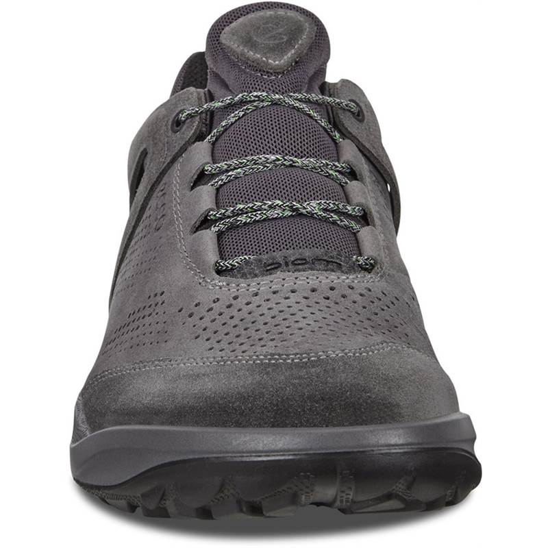 ecco men's biom 2go sneaker