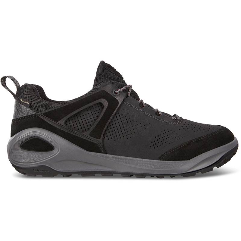 Ecco Mens Biom 2go GTX Shoes-2
