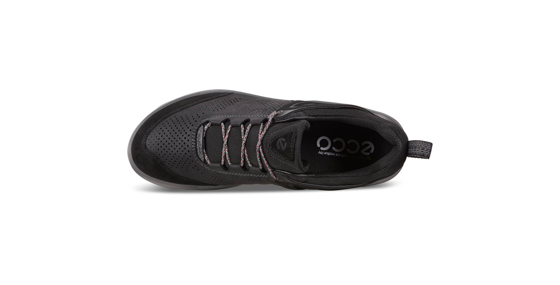 ecco mens biom 2go