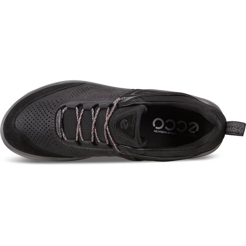 ecco men's biom 2go sneaker