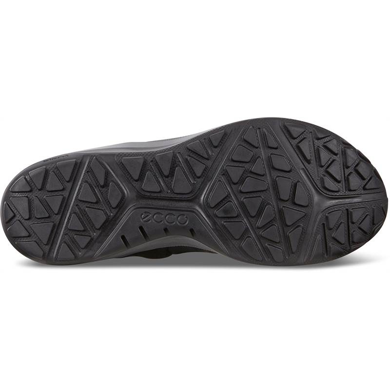 Ecco Mens Biom 2go GTX Shoes-5