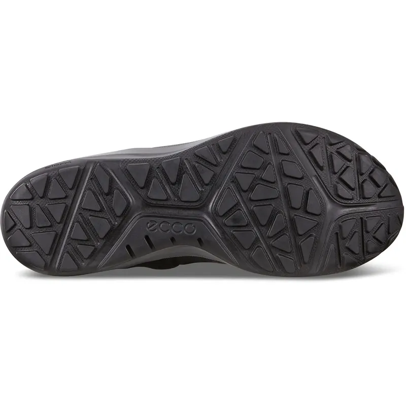 Ecco Mens Biom 2go GTX Shoes-5
