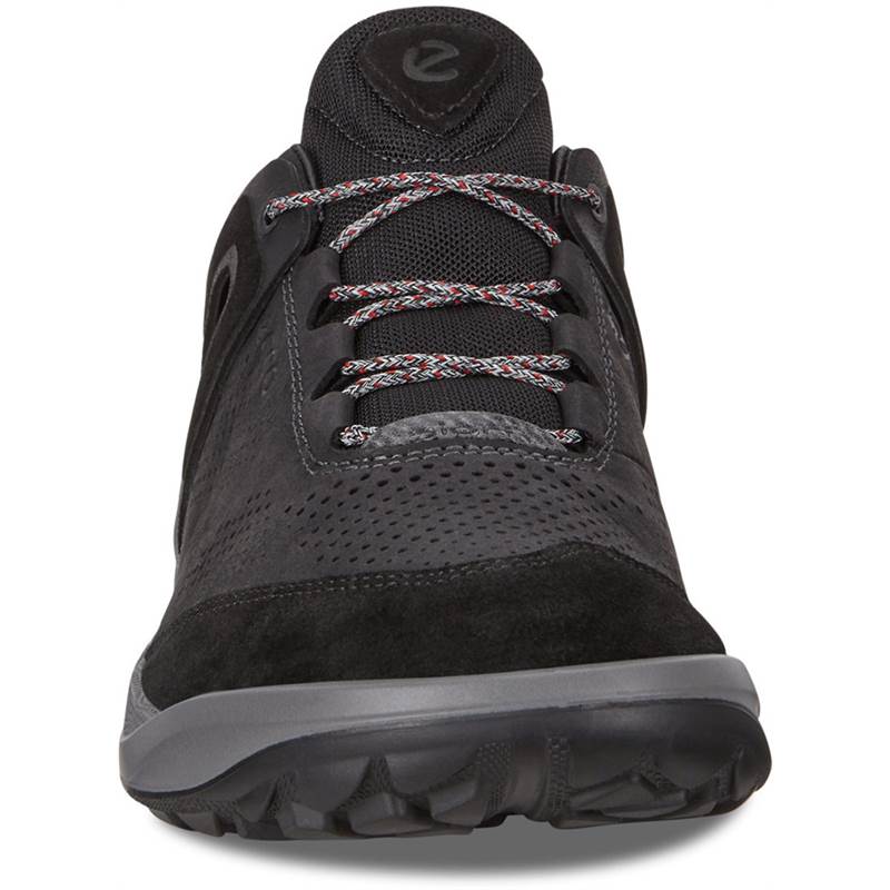 ecco men's biom 2go sneaker