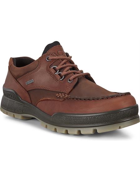 Ecco Mens Track 25 GTX Shoes