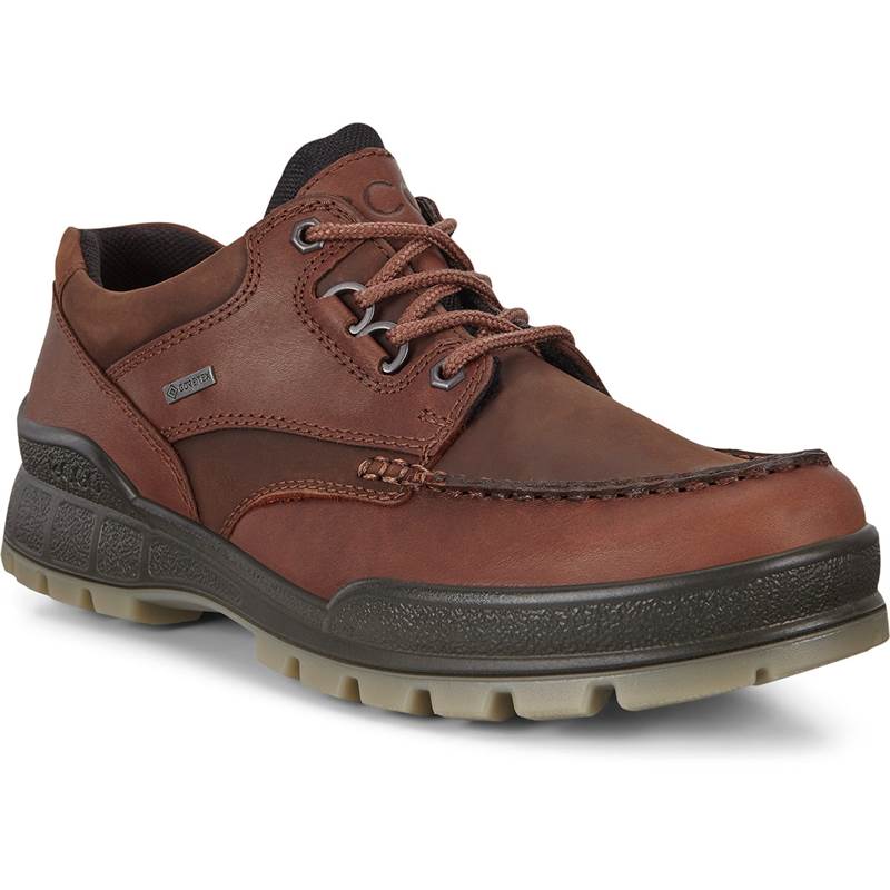 Ecco Mens Track 25 GTX Shoes-1