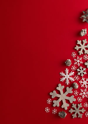 Merry Christmas and Happy New Year
