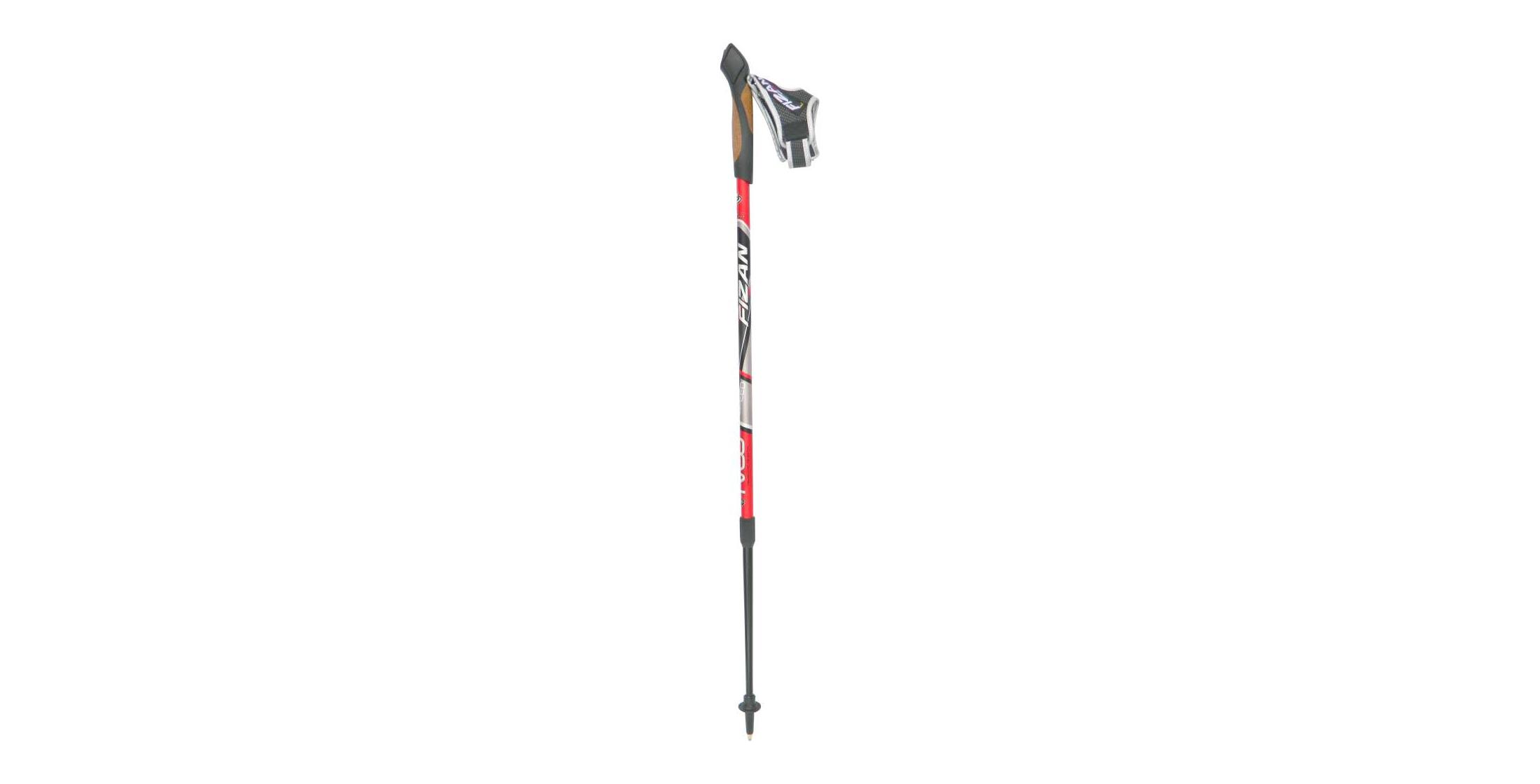 Fizan NW Speed Nordic Walking Poles
