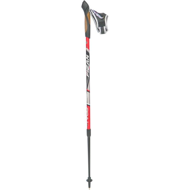 Fizan NW Speed Nordic Walking Poles