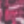 Colour : Neon Pink Zebra Print