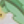 Colour : Green Tropcl