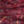 Colour : Berry Pink Abstract Lines