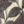 Colour : Birdy Grey
