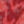 Colour : Mineral Red Zebra
