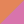 Colour : Satsuma/Pure Pink