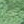 Colour : Conifer Green