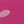 Colour : Pink Dots