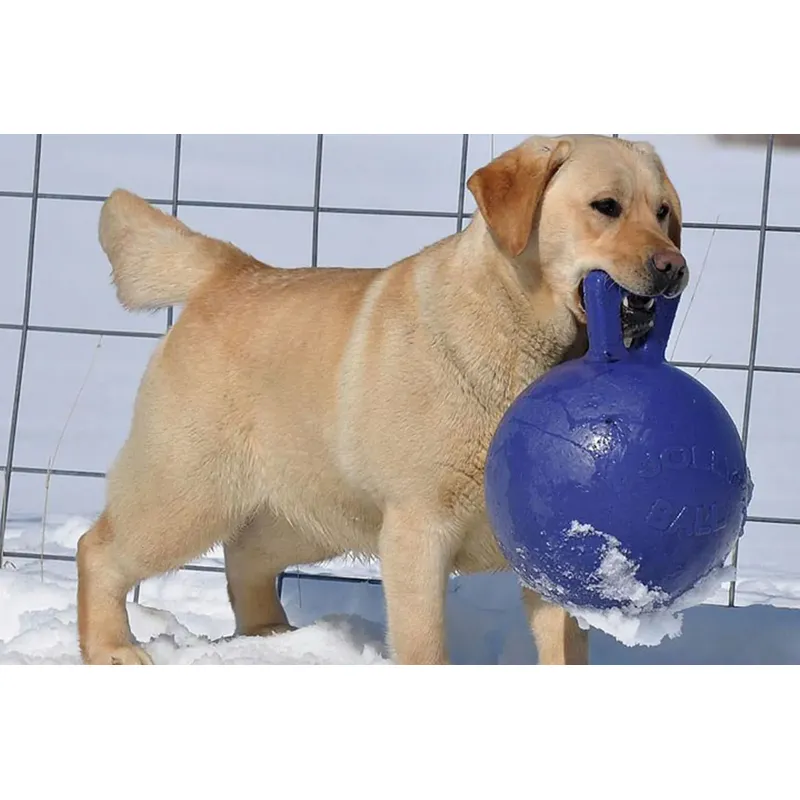 Jolly Pets Tug-N-Toss-3