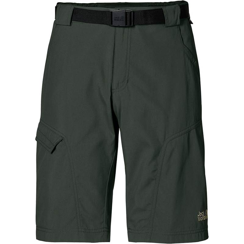 Jack Wolfskin Mens Hoggar Shorts-2