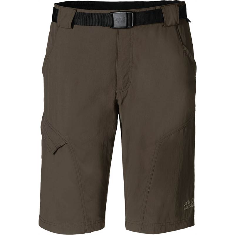 Jack Wolfskin Mens Hoggar Shorts-5