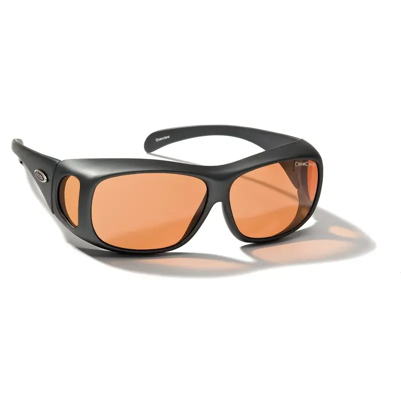Alpina Overview Sunglasses-3