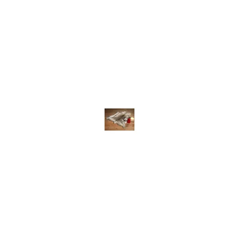 Reindeer Rugs-2
