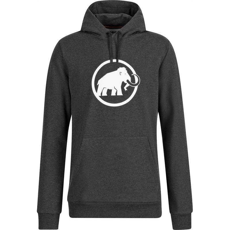 Mammut Mens Logo ML Hoody-1