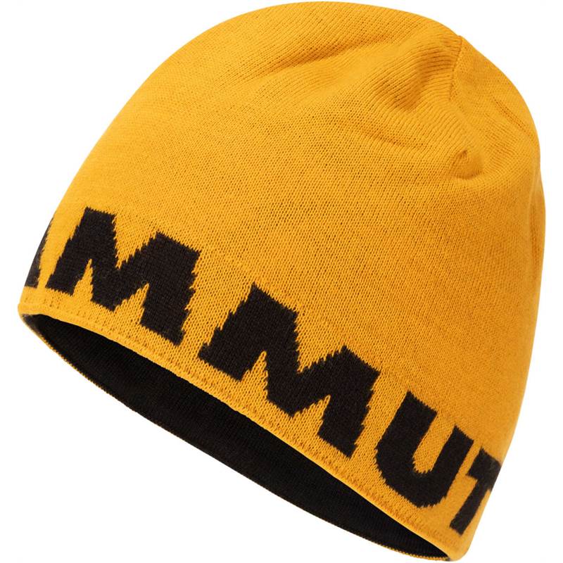 Mammut Logo Beanie Hat-1